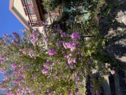 リトルエンジェルと当館